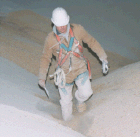 Grain Examiner